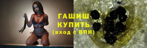 дживик Пересвет