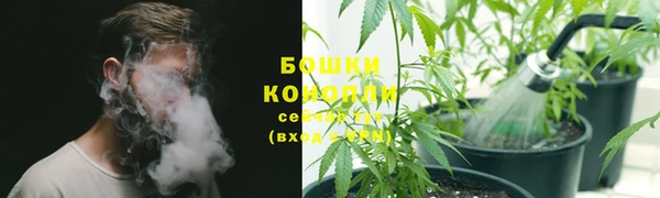дживик Пересвет
